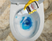 Majestic Toilet Bowl Cleaner
